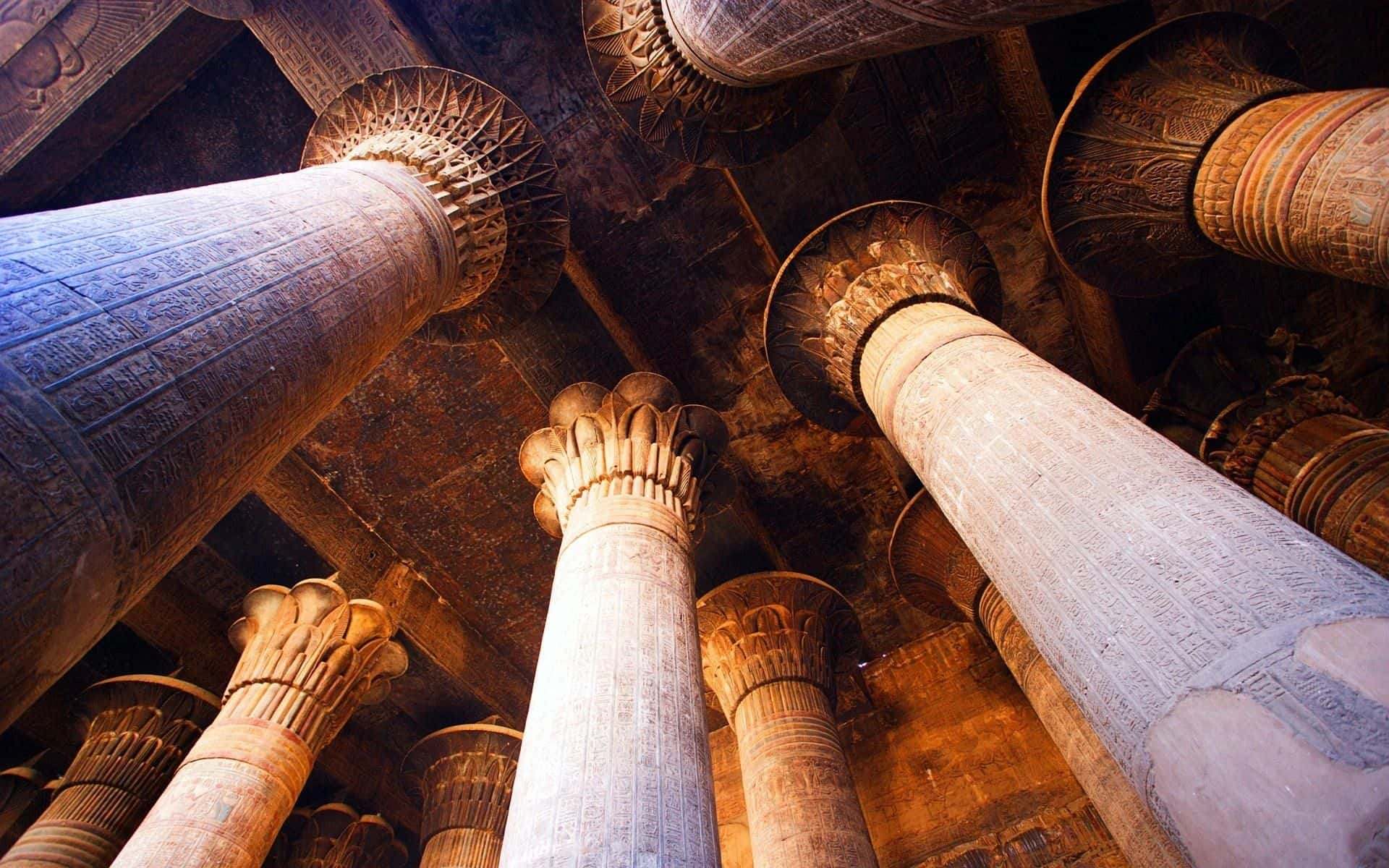 Carved columns of an ancient Egyptian temple hall